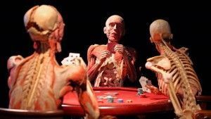 body world