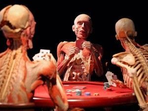 PSICOSOMÁTICA: UN PUENTE ENTRE EL CUERPO Y  LA MENTE.